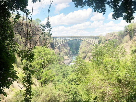 زامبيا
