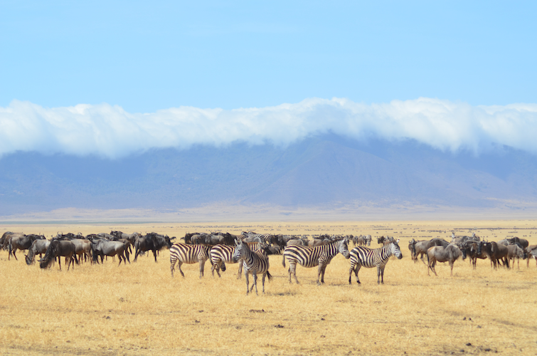 Tanzania